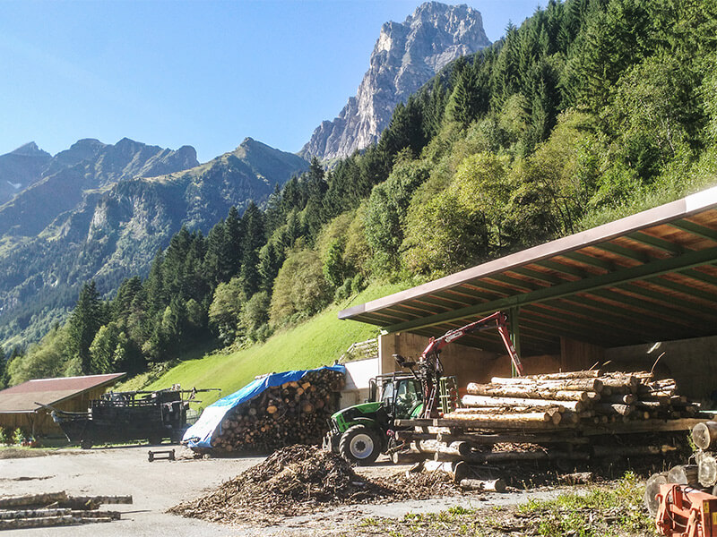 Geschäftsfelder Holz